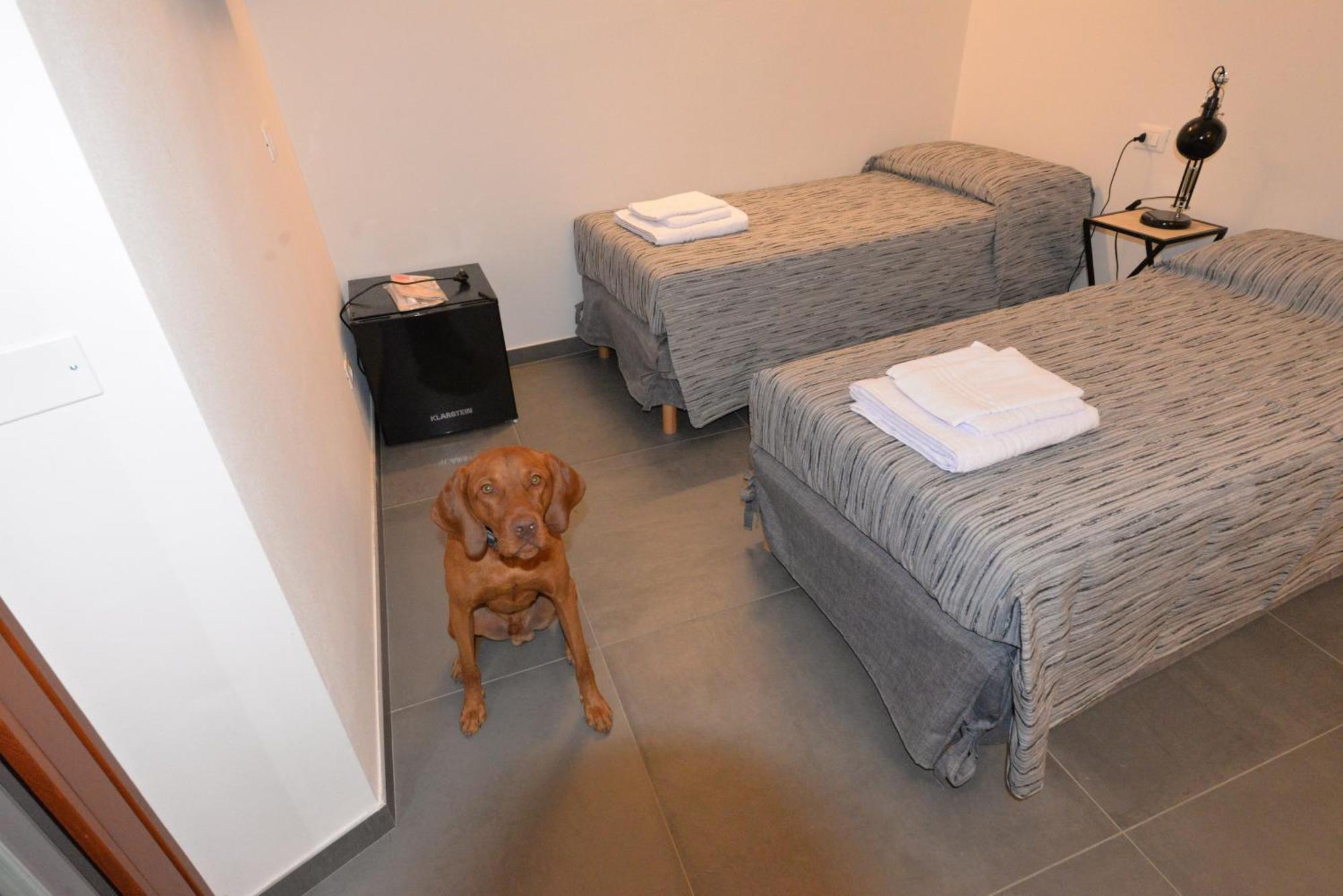 Casa Dei Colli Hotel มอนซามบาโน ภายนอก รูปภาพ